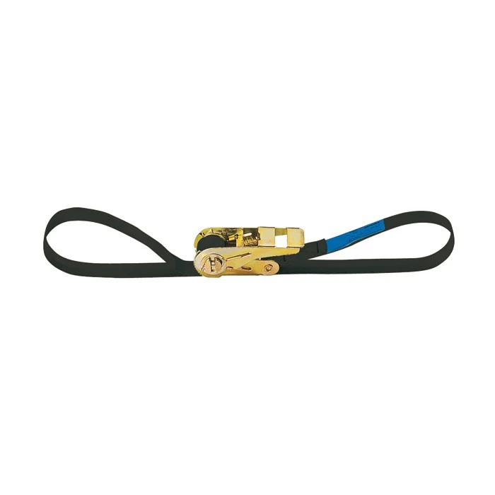 ADAM HALL SR258 ESLINGA SIMPLE CON CRICA DE PRESION 25MM ANCHO LONGITUD 8 METROS