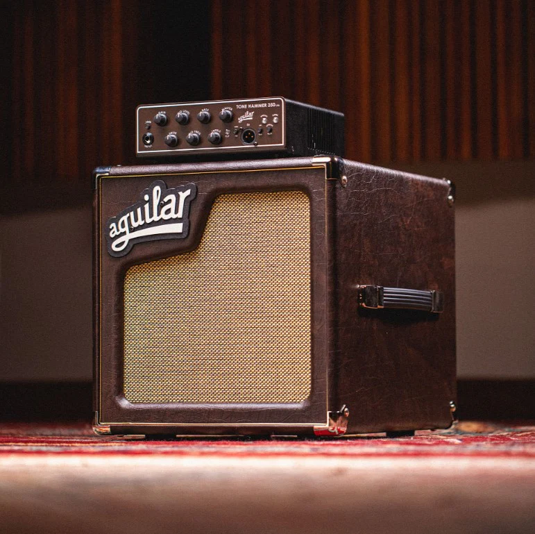 AGUILAR SL110-8CB PANTALLA AMPLIFICADOR BAJO CHOCOLATE BROWN - Image 2