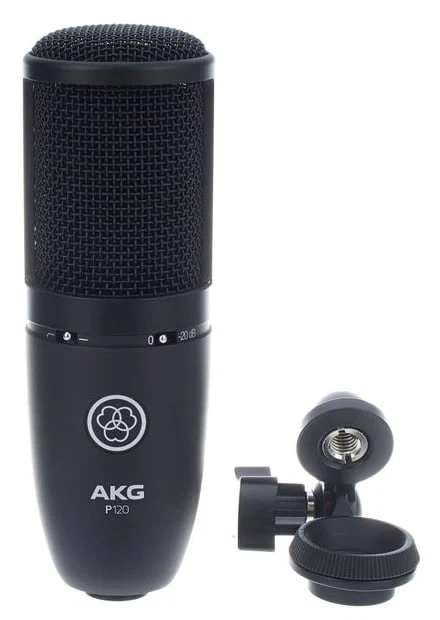 AKG P120 PERCEPTION MICROFONO DE CONDENSADOR - Image 9