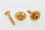 ALL PARTS AP0730002 ROUND STRING GUIDES (2) WITH SCREWS FOR GUITAR GOLD