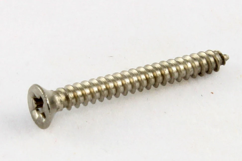ALL PARTS GS0008B05 TORNILLO MARCO PASTILLA HUMBUCKER ACERO INOXIDABLE. UNIDAD
