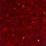 ALL PARTS PG0095044 PICK GUARD BLANK (12 X 18) VINTAGE RED TORTOISE 3-PLY