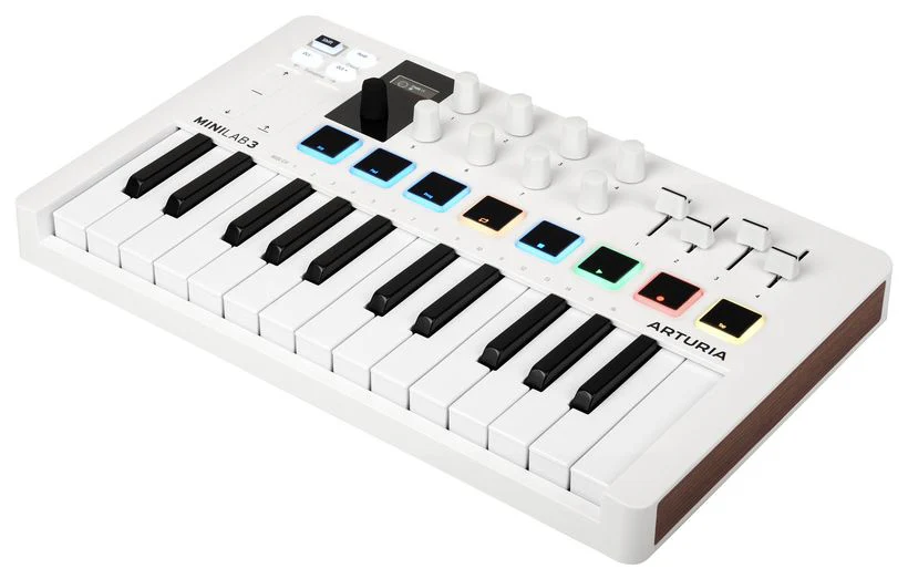 Miniatura 2