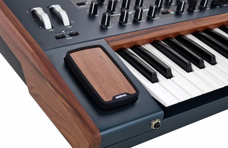 ARTURIA POLYBRUTE SINTETIZADOR POLIFONICO 61 TECLAS - Image 11