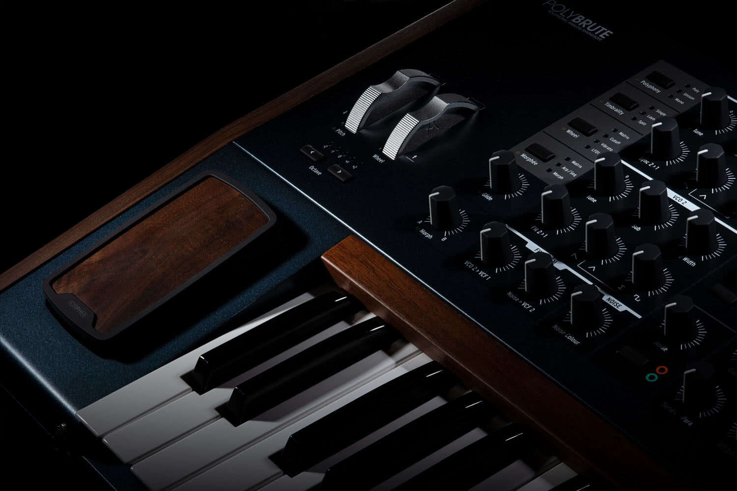 ARTURIA POLYBRUTE SINTETIZADOR POLIFONICO 61 TECLAS - Image 25
