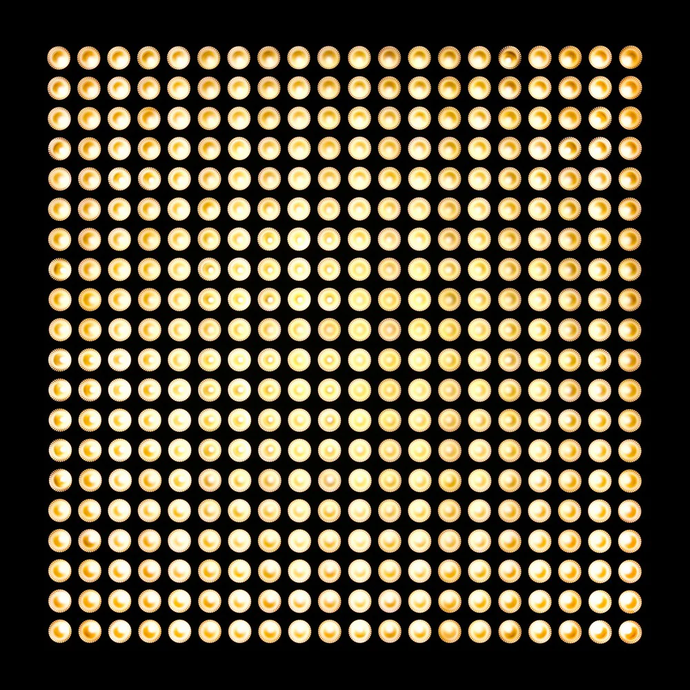 CAMEO MATRIX PANEL 3 WW PANEL DE MATRIZ 5X5 - Image 7