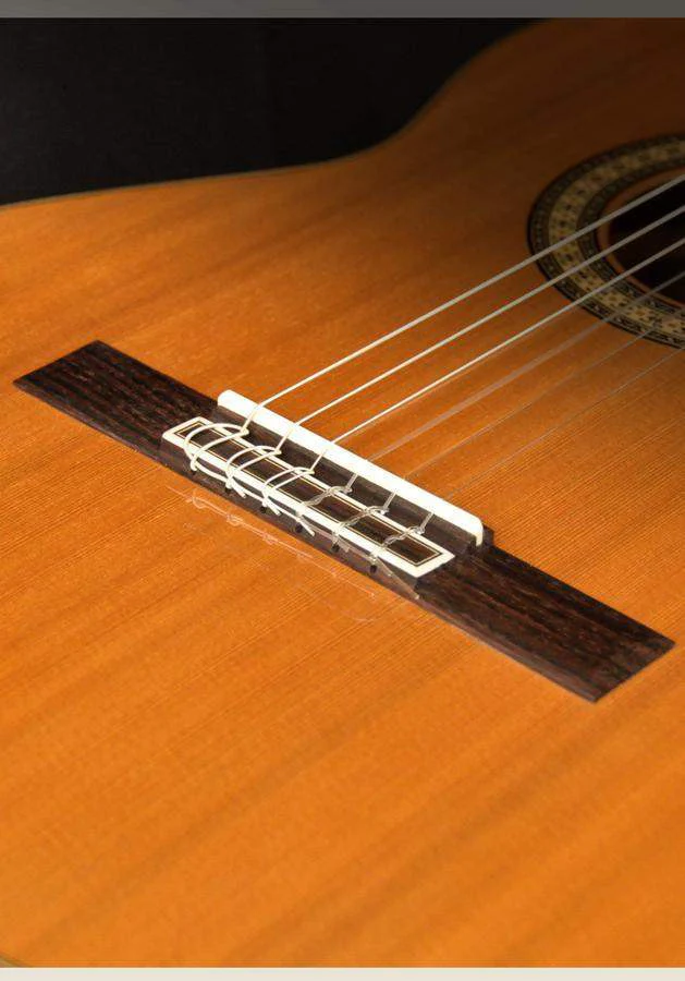 CAMPS MC9C GUITARRA ESPAÑOLA CUTAWAY - Image 3