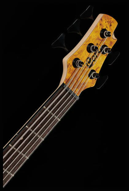 CORT A5 PLUS SC BAJO ELECTRICO 5 CUERDAS AMBAR - Image 13