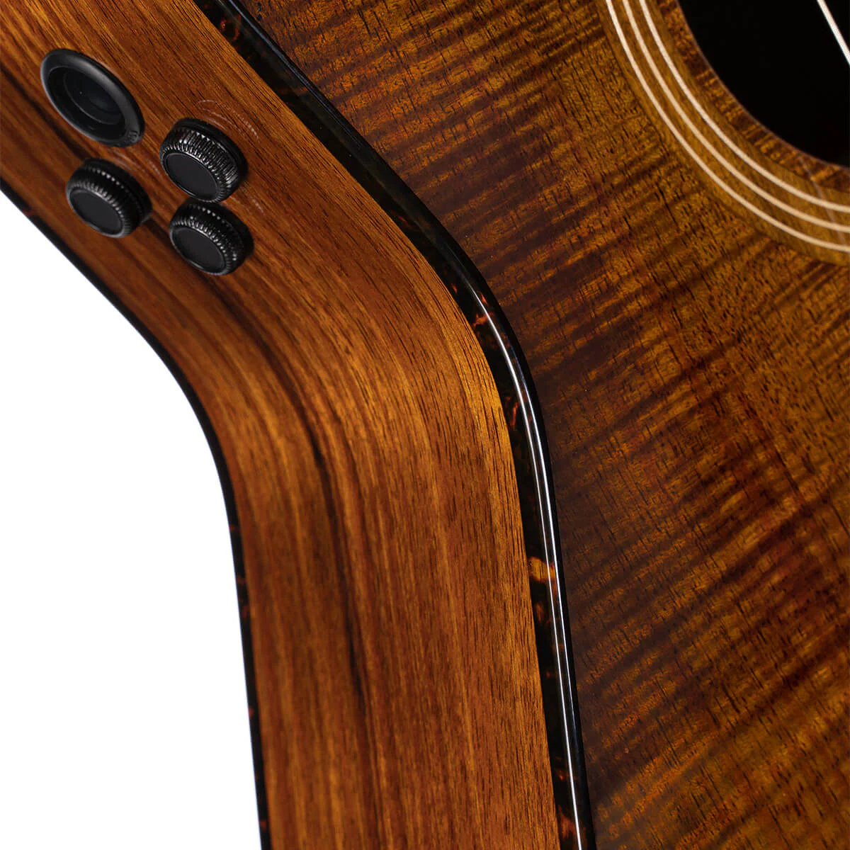 CORT FRANK GAMBALE LUXE NYLON BR GUITARRA ELECTROACUSTICA CONCIERTO CON CUERDAS DE NYLON BROWN - Image 7