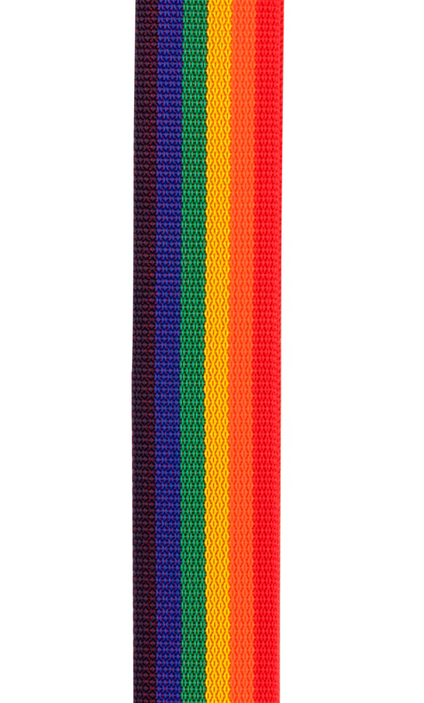 DADDARIO PWSAL411 CORREA GUITARRA PROPILENO ARCOIRIS - Image 2
