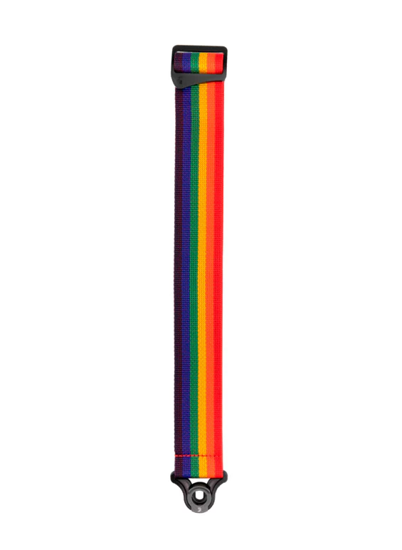 DADDARIO PWSAL411 CORREA GUITARRA PROPILENO ARCOIRIS - Image 3