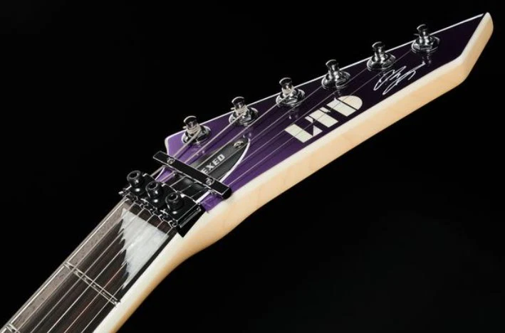 ESP LTD ALEXI HEXED GUITARRA ELECTRICA PURPLE FADE WITH PIN STRIPES - Image 17