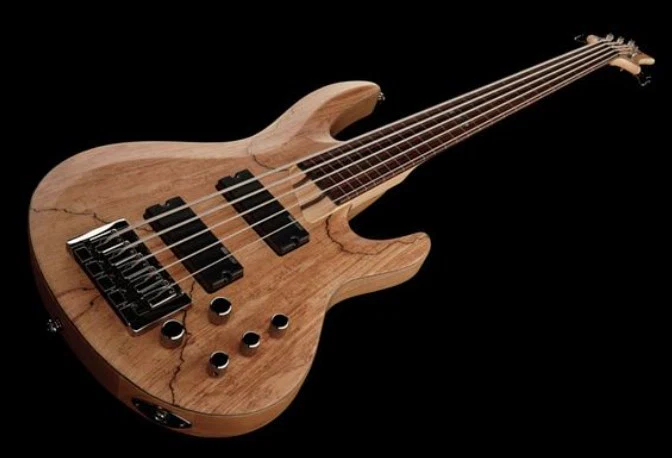 ESP LTD B205SM NS FRETLESS BAJO ELECTRICO 5 CUERDAS NATURAL SATIN - Image 11