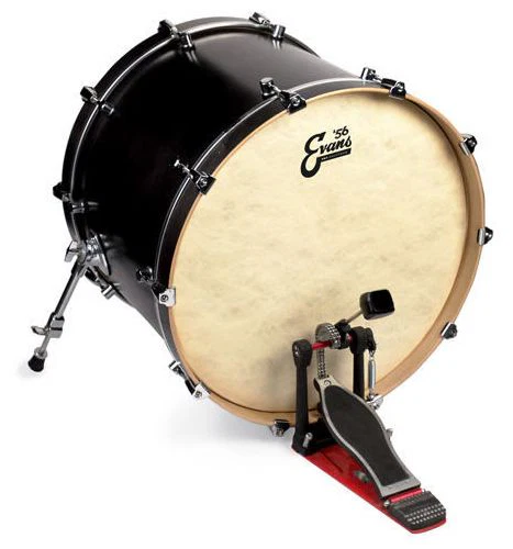 EVANS BD20GB4CT CALFTONE PARCHE BOMBO 20 PULGADAS - Image 3