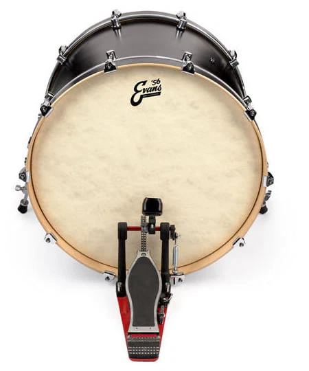 EVANS BD20GB4CT CALFTONE PARCHE BOMBO 20 PULGADAS - Image 4