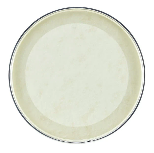 EVANS BD22GB4CT CALFTONE PARCHE BOMBO 22 PULGADAS - Image 2