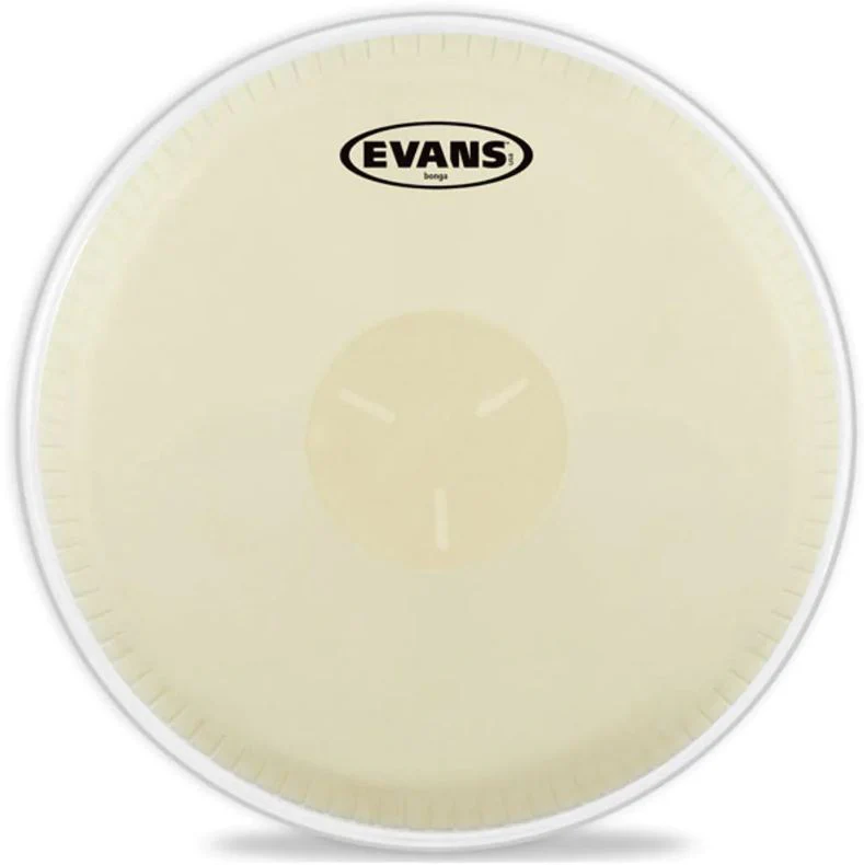 EVANS EB07 PARCHE BONGO 7
