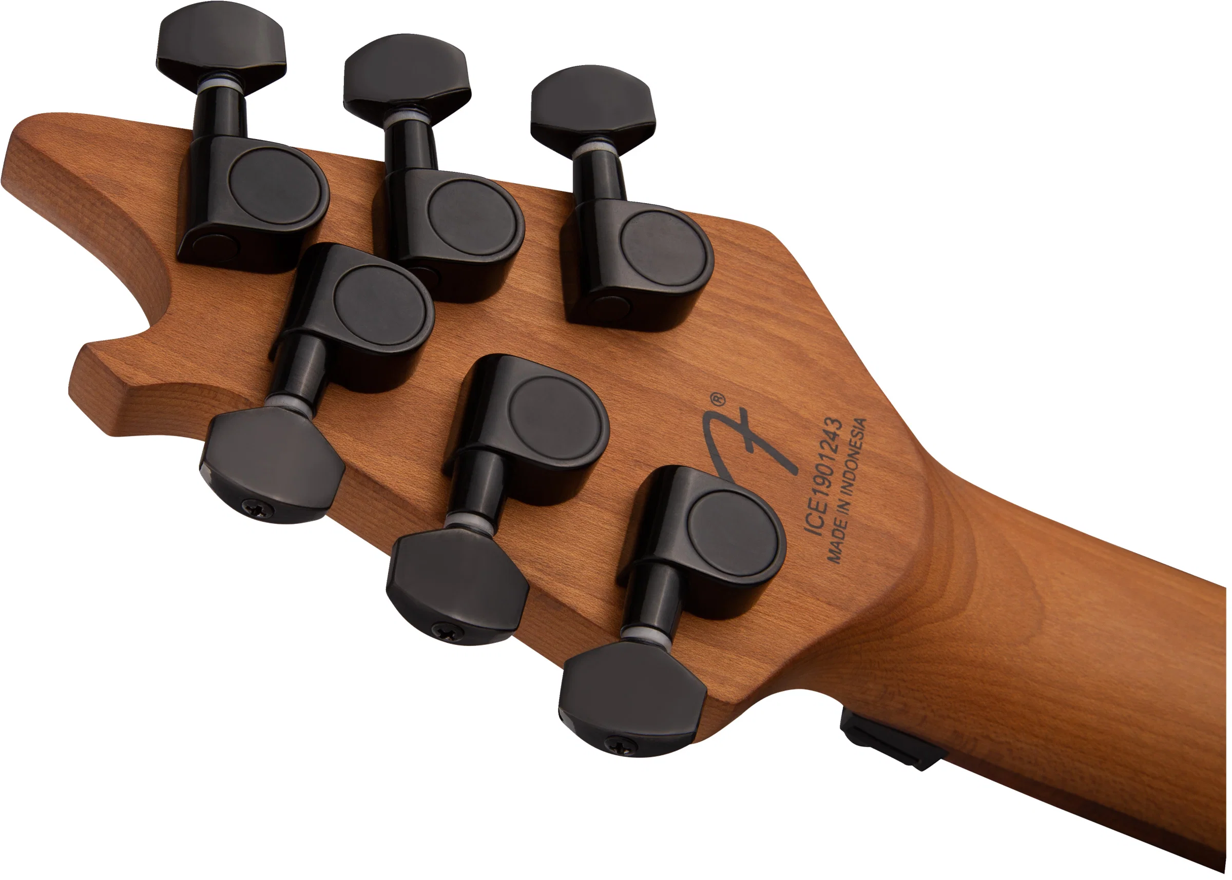 EVH WOLFGANG STANDARD BMN GUITARRA ELECTRICA BOMBER BLACK. - Image 9