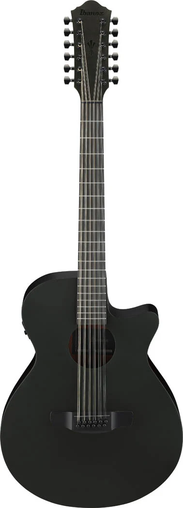 IBANEZ AEG1221 BOT GUITARRA ELECTROACUSTICA 12 CUERDAS BLACK OUT