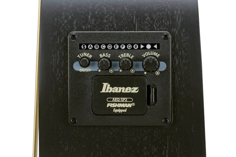 IBANEZ AEWC621L BOT GUITARRA ELECTROACUSTICA PARA ZURDOS BLACK OUT - Image 6
