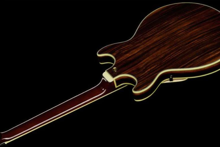 IBANEZ AM93ME NT GUITARRA ELECTRICA HOLLOW BODY NATURAL - Image 25