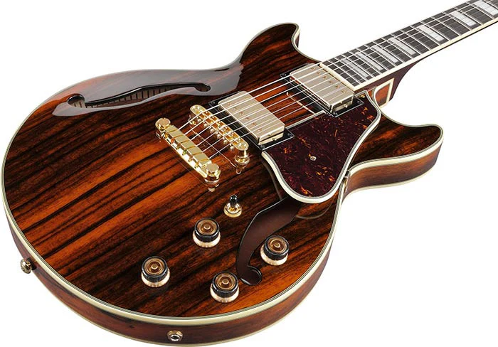 IBANEZ AM93ME NT GUITARRA ELECTRICA HOLLOW BODY NATURAL - Image 7