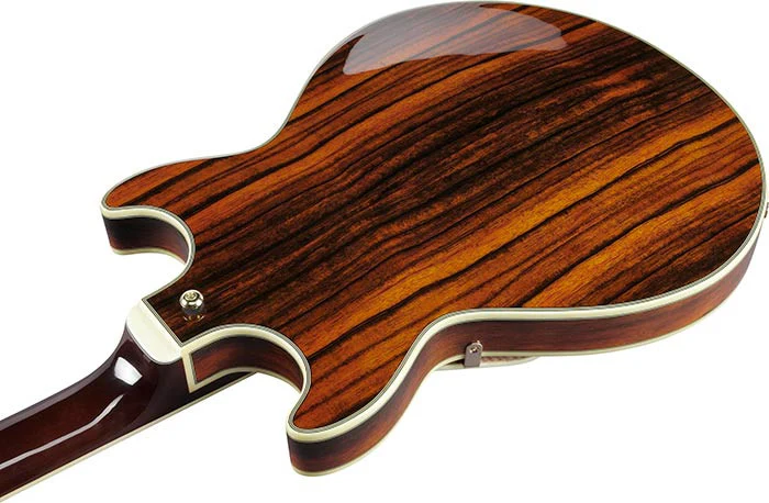 IBANEZ AM93ME NT GUITARRA ELECTRICA HOLLOW BODY NATURAL - Image 8