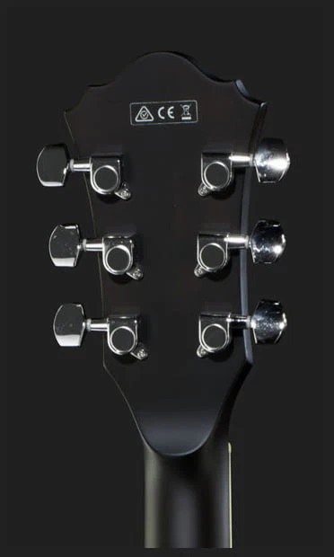IBANEZ AS53 TKF GUITARRA ELECTRICA HOLLOW BODY TRANSPARENT BLACK - Image 11
