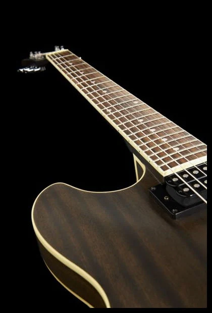 IBANEZ AS53 TKF GUITARRA ELECTRICA HOLLOW BODY TRANSPARENT BLACK - Image 13