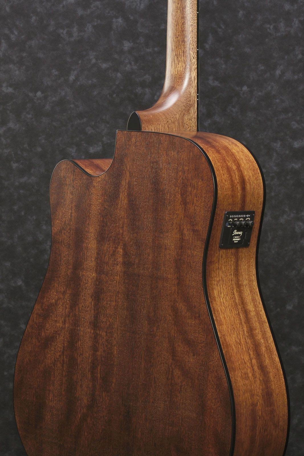 IBANEZ AW54CE OPN GUITARRA ELECTROACUSTICA DREADNOUGHT - Image 11