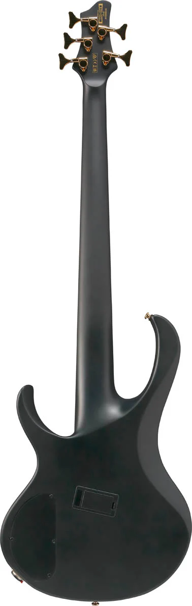 IBANEZ BTB605LM BKF BASS WORKSHOP BAJO ELECTRICO 5 CUERDAS BLACK FLAT - Image 2