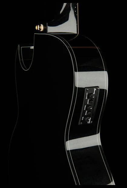 IBANEZ EP5 BP GUITARRA ELECTROACUSTICA - Image 14