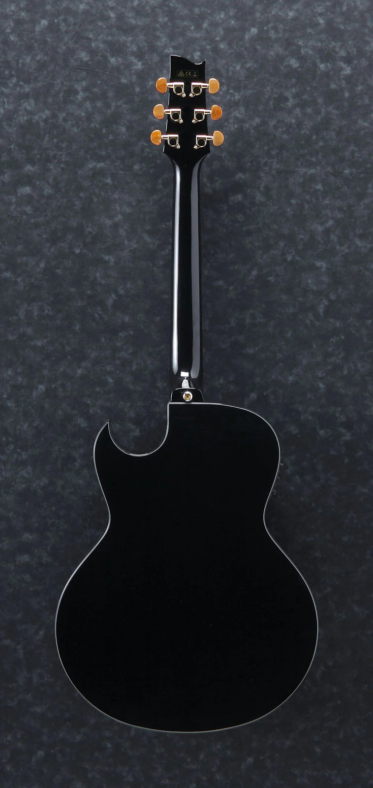 IBANEZ EP5 BP GUITARRA ELECTROACUSTICA - Image 3