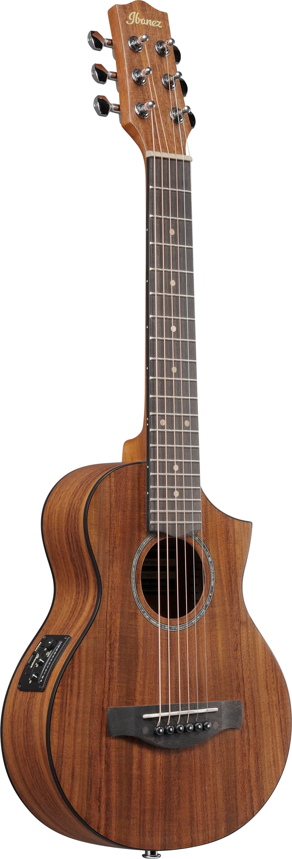 IBANEZ EWP12EWB OPN GUITARRA ELECTROACUSTICA OPEN PORE NATURAL - Image 2