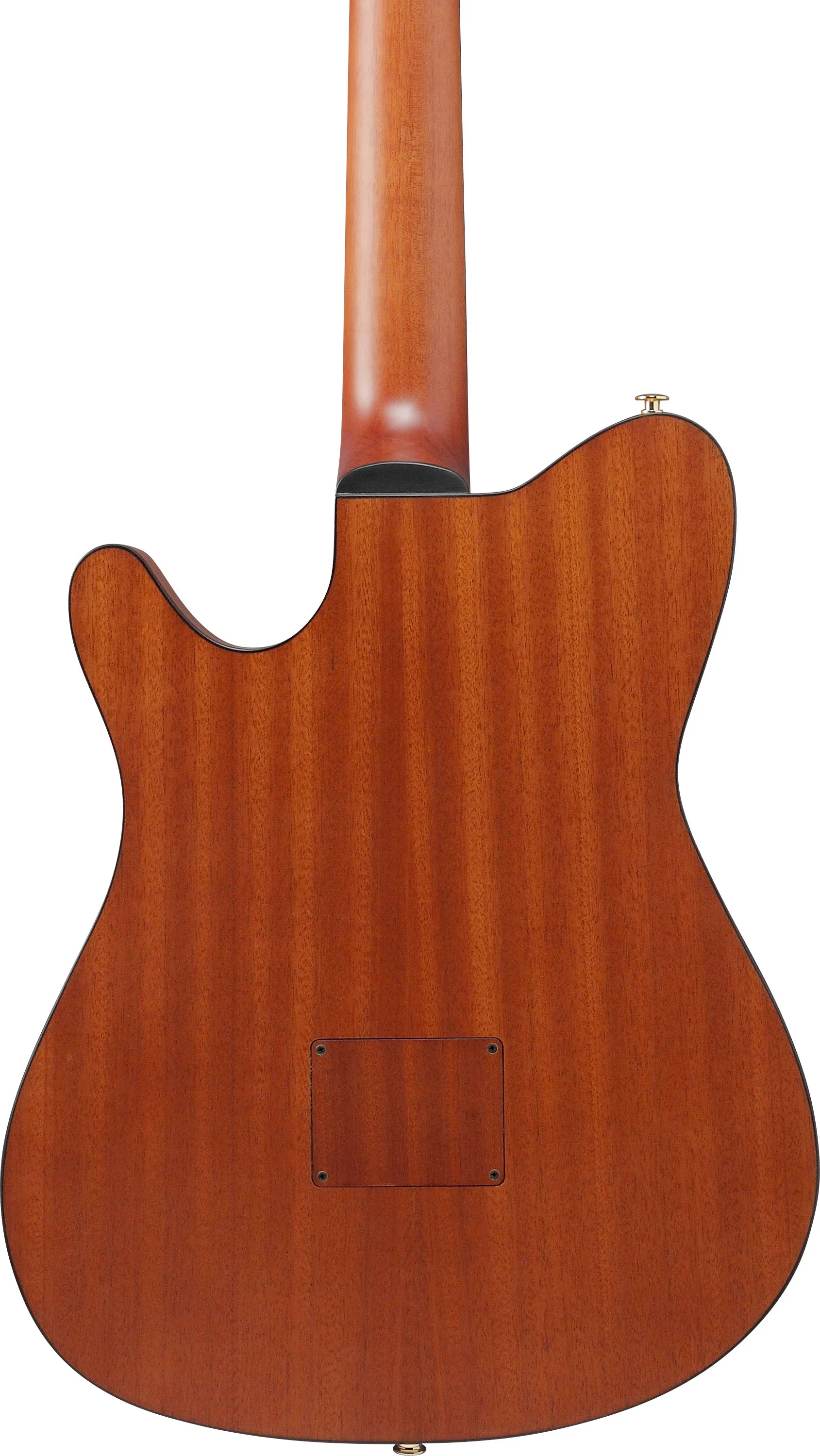 IBANEZ FRH10N RGF GUITARRA ESPAÑOLA ELECTRIFICADA ROSE GOLD METALLIC - Image 5