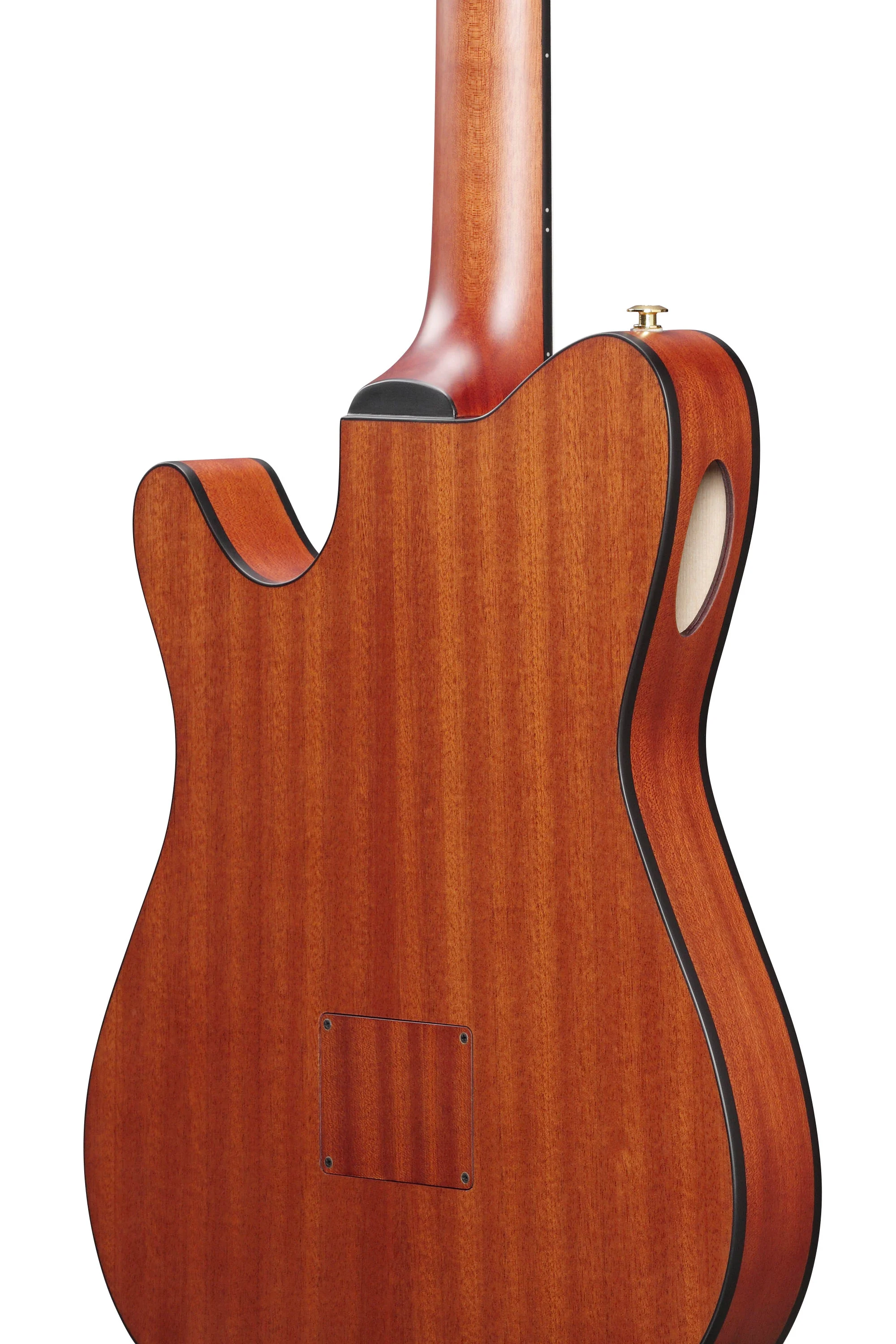 IBANEZ FRH10N RGF GUITARRA ESPAÑOLA ELECTRIFICADA ROSE GOLD METALLIC - Image 9