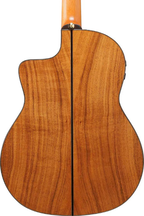 IBANEZ GA360TCE TBK GUITARRA ESPAÑOLA ELECTRIFICADA CUERPO ESTRECHO TRANSPARENT BLACK - Image 5