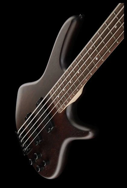IBANEZ GSR205B WNF BAJO ELECTRICO 5 CUERDAS WALNUT FLAT - Image 12