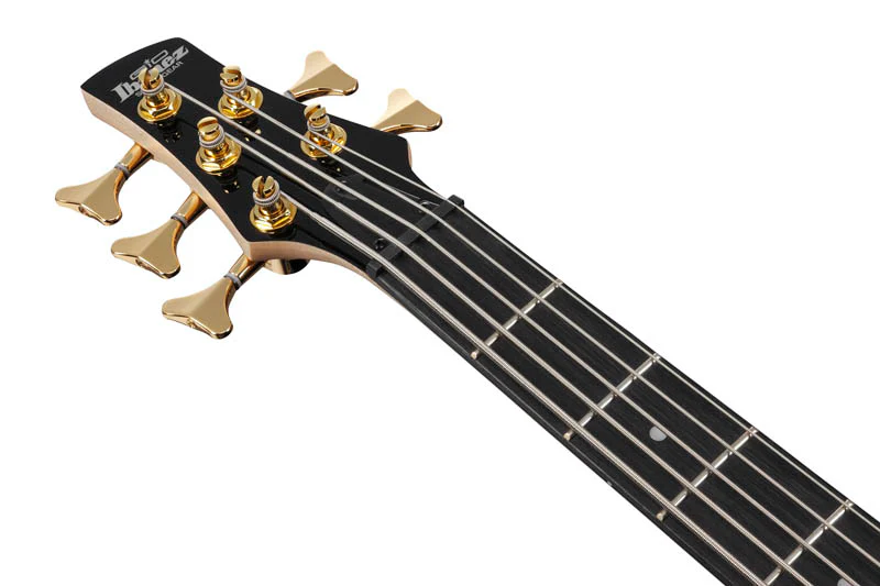 IBANEZ GSR205PC TMU BAJO ELECTRICO 5 CUERDAS TRANSPARENTE MARINE BURST - Image 8