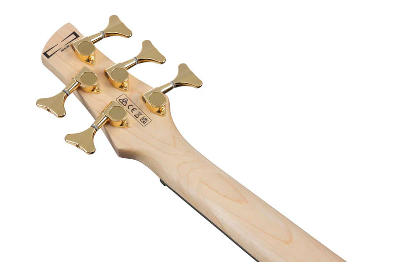 IBANEZ GSR205PC TMU BAJO ELECTRICO 5 CUERDAS TRANSPARENTE MARINE BURST - Image 9