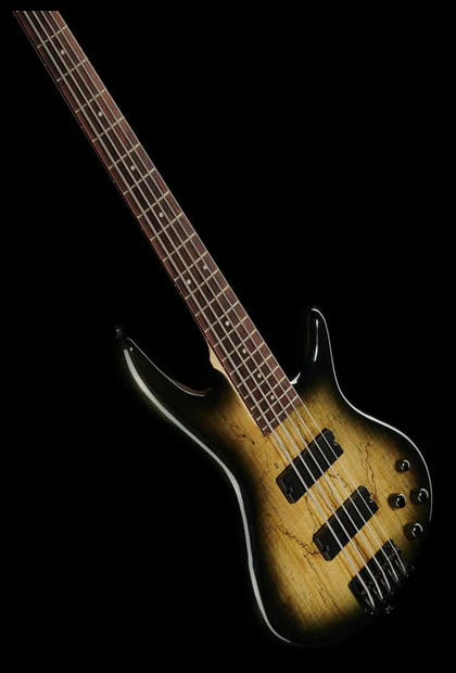 IBANEZ GSR205SM NGT BAJO ELECTRICO 5 CUERDAS NATURAL GRAY BURST - Image 10