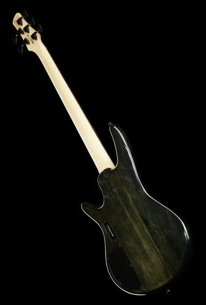 IBANEZ GSR205SM NGT BAJO ELECTRICO 5 CUERDAS NATURAL GRAY BURST - Image 11