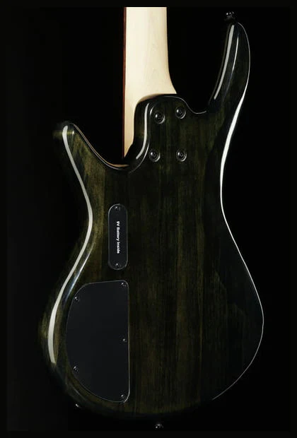 IBANEZ GSR205SM NGT BAJO ELECTRICO 5 CUERDAS NATURAL GRAY BURST - Image 12