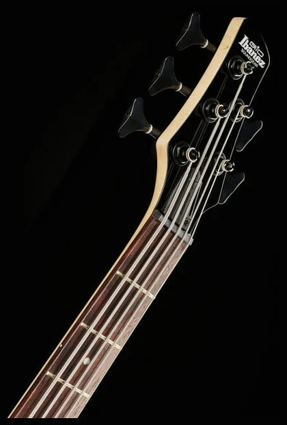 IBANEZ GSR205SM NGT BAJO ELECTRICO 5 CUERDAS NATURAL GRAY BURST - Image 14