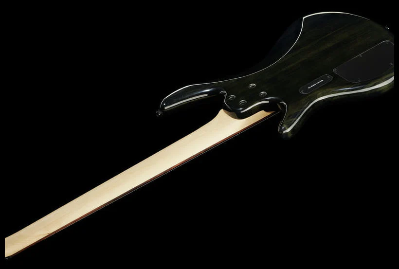 IBANEZ GSR205SM NGT BAJO ELECTRICO 5 CUERDAS NATURAL GRAY BURST - Image 8