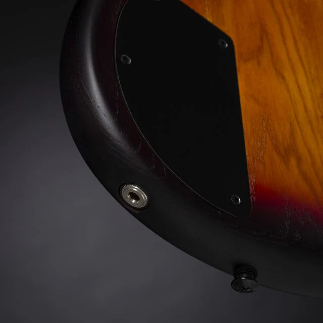 IBANEZ GWB205 TQF FRETLESS GARY WILLIS BAJO ELECTRICO 5 CUERDAS TEQUILA SUNRISE - Image 17
