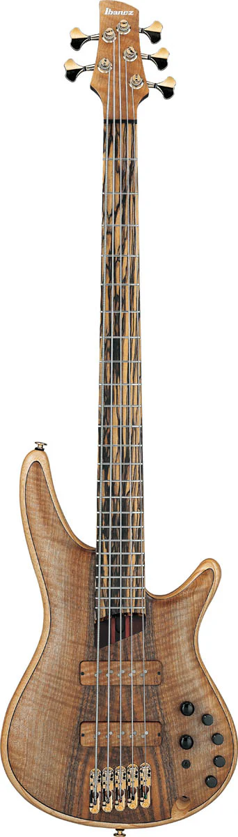 IBANEZ IV1SR VISIONS BAJO ELECTRICO 5 CUERDAS