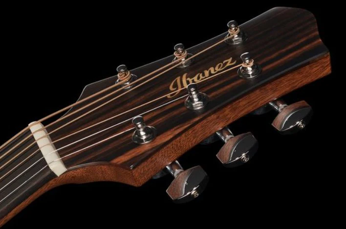IBANEZ JGM5 BSN JON GOMM GUITARRA ELECTROACUSTICA NEGRA - Image 19