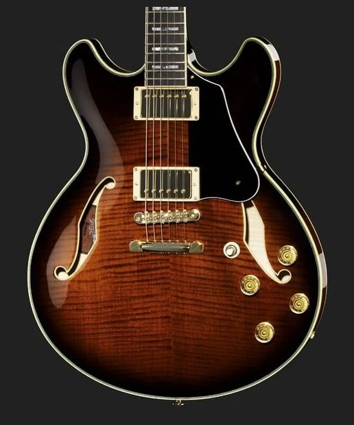 IBANEZ JSM100 VT GUITARRA ELECTRICA HOLLOW BODY VINTAGE SUNBURST - Image 8