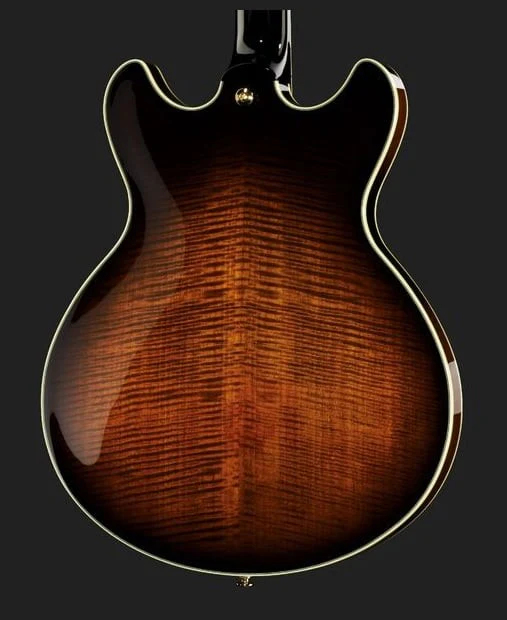 IBANEZ JSM100 VT GUITARRA ELECTRICA HOLLOW BODY VINTAGE SUNBURST - Image 9